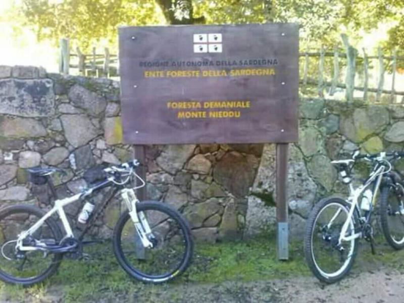 B&B Il Vigneto - Aktivite