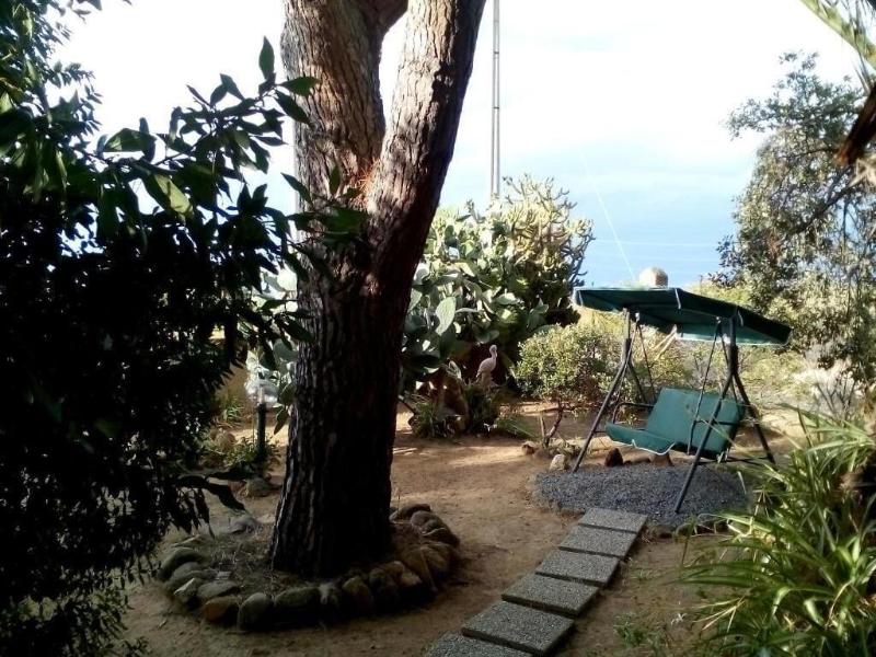 B&B Il Vigneto - Genel