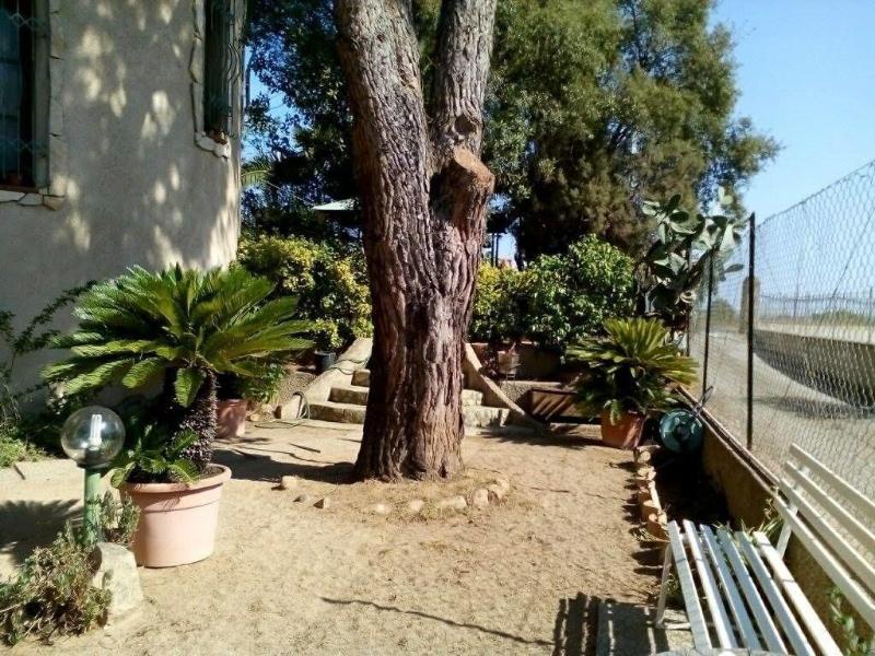 B&B Il Vigneto - Genel
