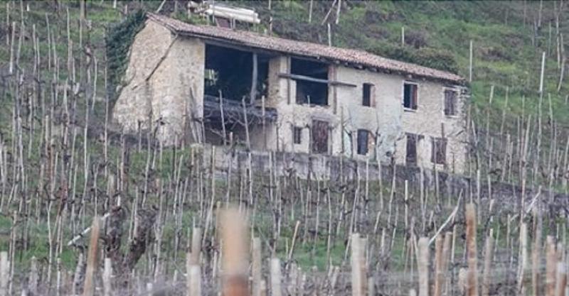B&B Il Vigneto - Genel