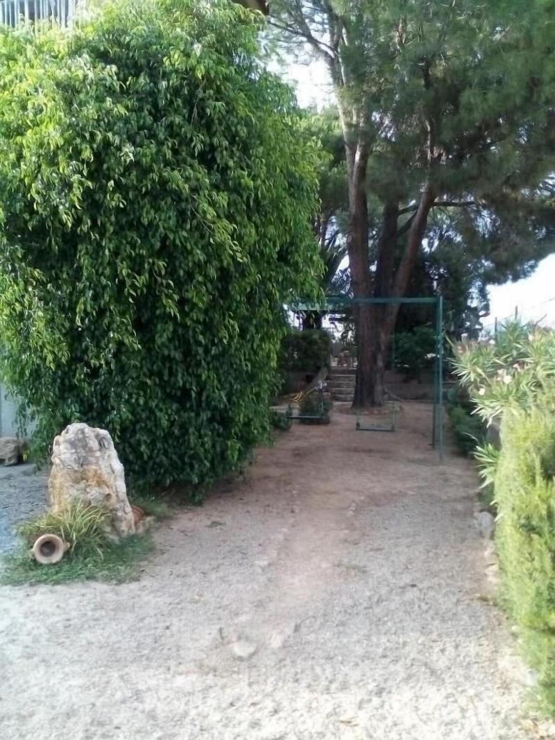 B&B Il Vigneto - Genel