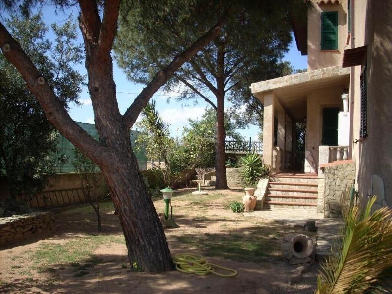 B&B Il Vigneto - Genel