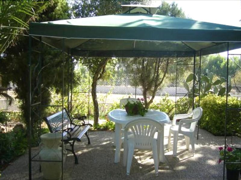 B&B Il Vigneto - Teras