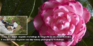 Casa Da Cidade fotoÄŸrafÄ±
