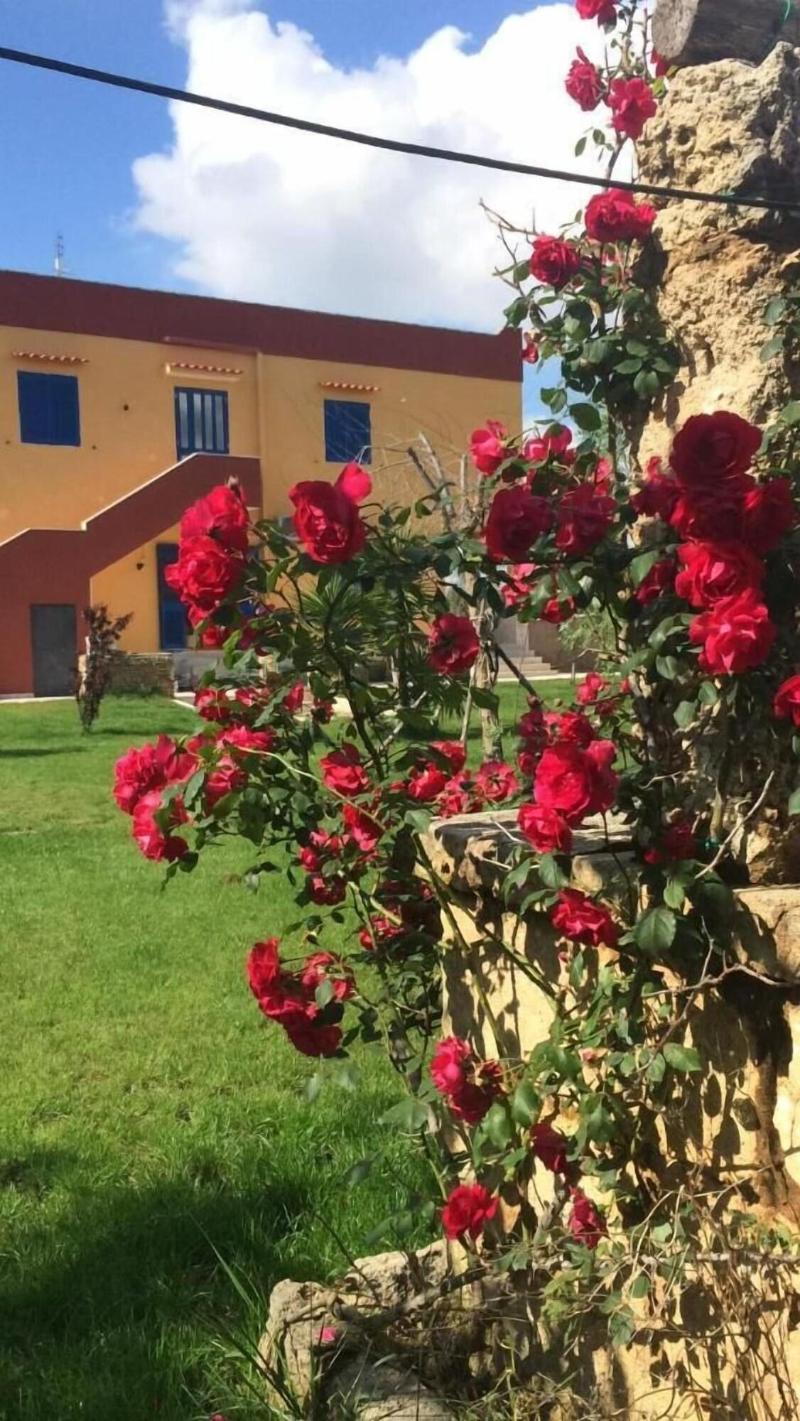 B&B Terra e Colori - Genel