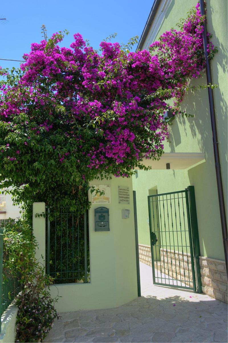 La Casa Del Nonno - Genel