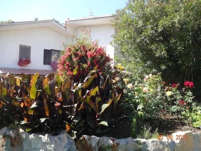 B&B Villa Sans Souci - Genel