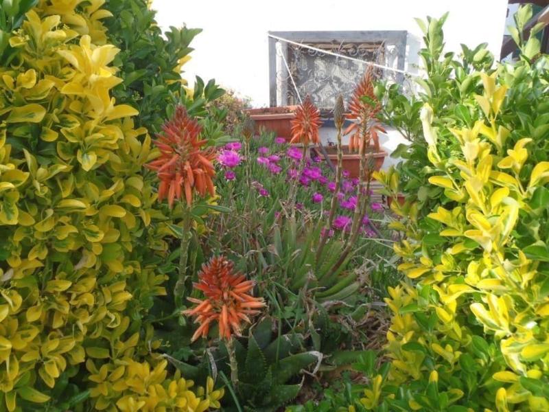 B&B Villa Sans Souci - Genel
