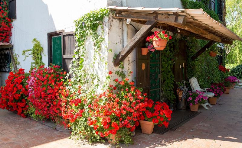 B&B Villa Sans Souci - Genel