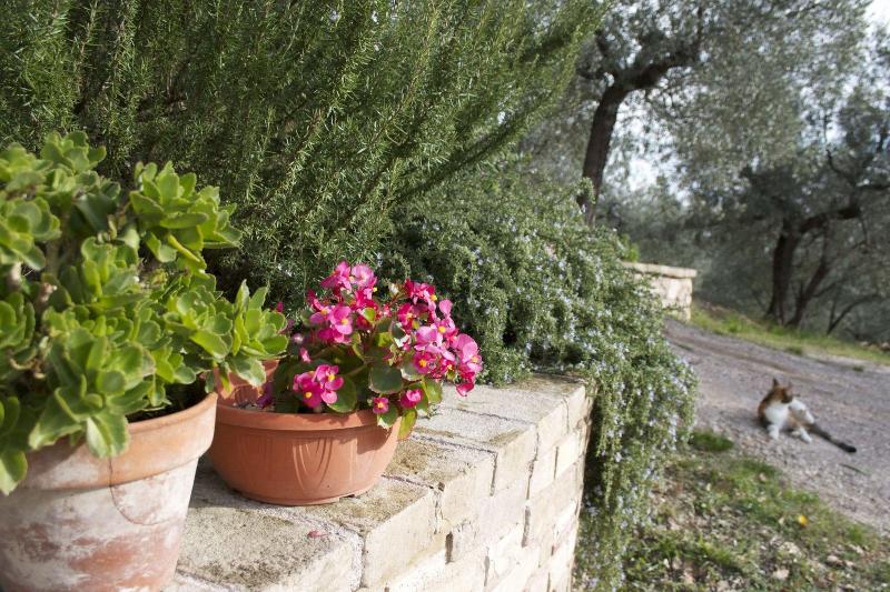 B&B Lavanda e Rosmarino - Genel