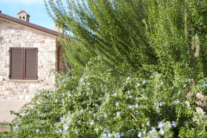 B&B Lavanda e Rosmarino - Genel