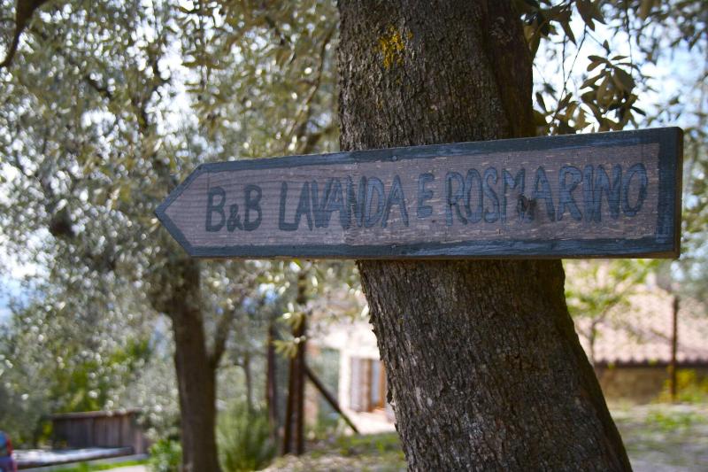 B&B Lavanda e Rosmarino - Genel