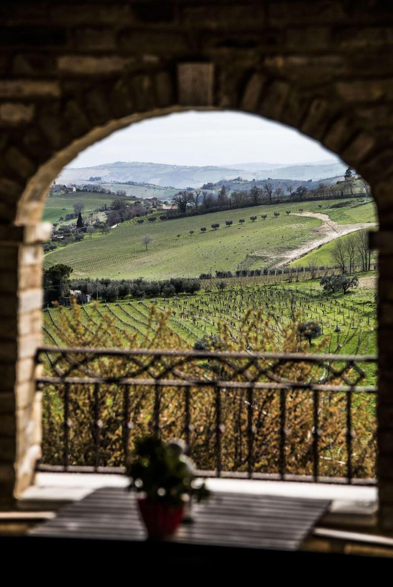 Dimora Rosso Piceno - Oda