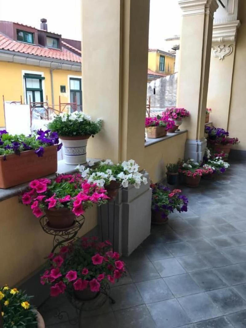Palazzo Conforti B&B - Genel