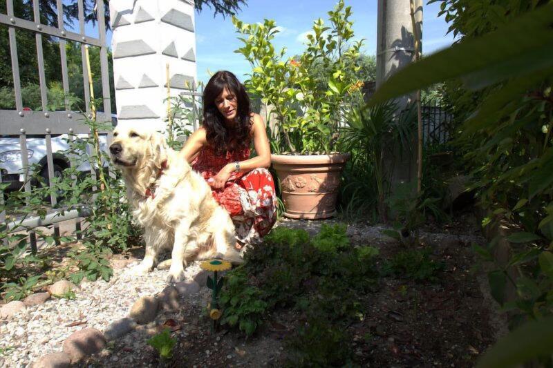 Betty's House - Genel