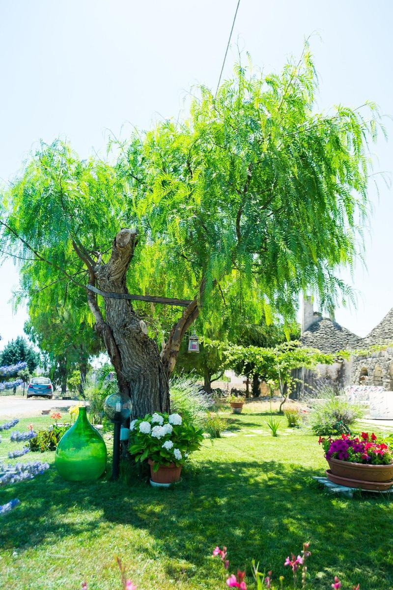 Trulli Donna Isabella - Genel