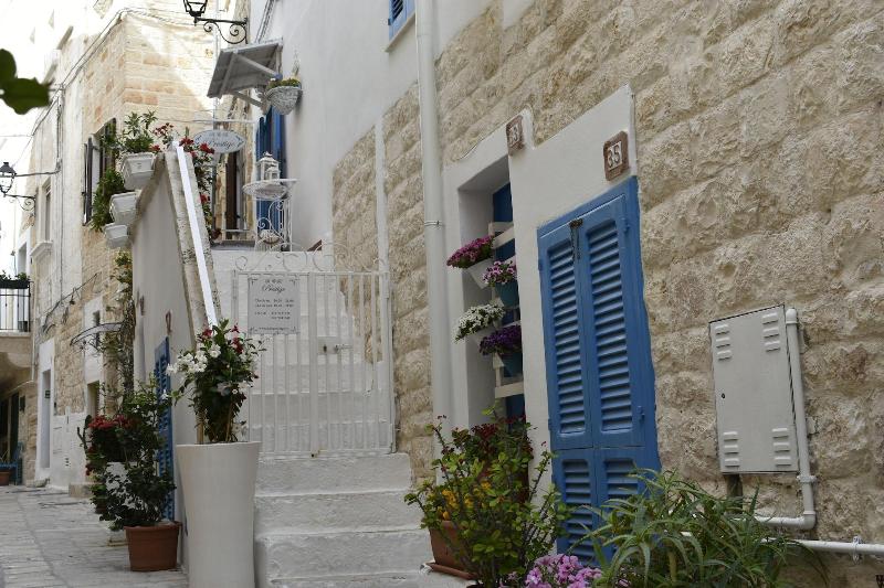 B&B Prestige - Genel