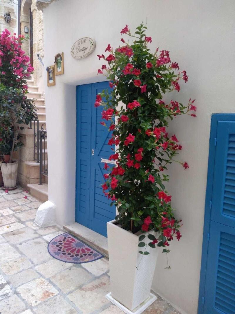 B&B Prestige - Genel