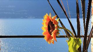 Villa Marina - Como Lake fotoÄŸrafÄ±