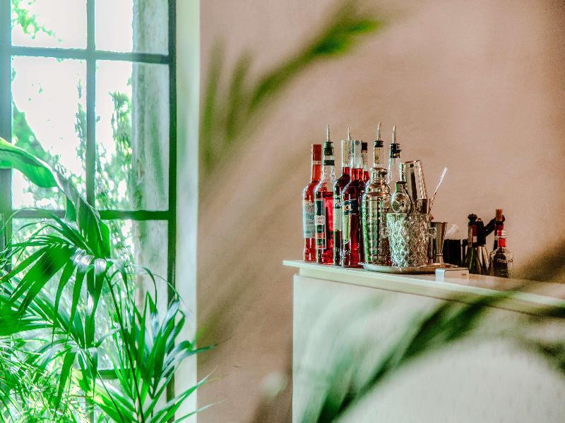 Dandelion Como Suites & Park - Bar