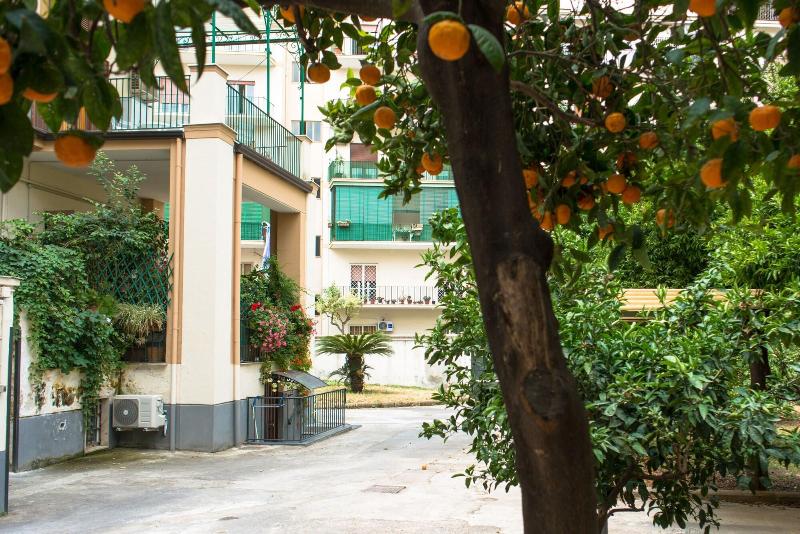 B&B Il Nido - Genel