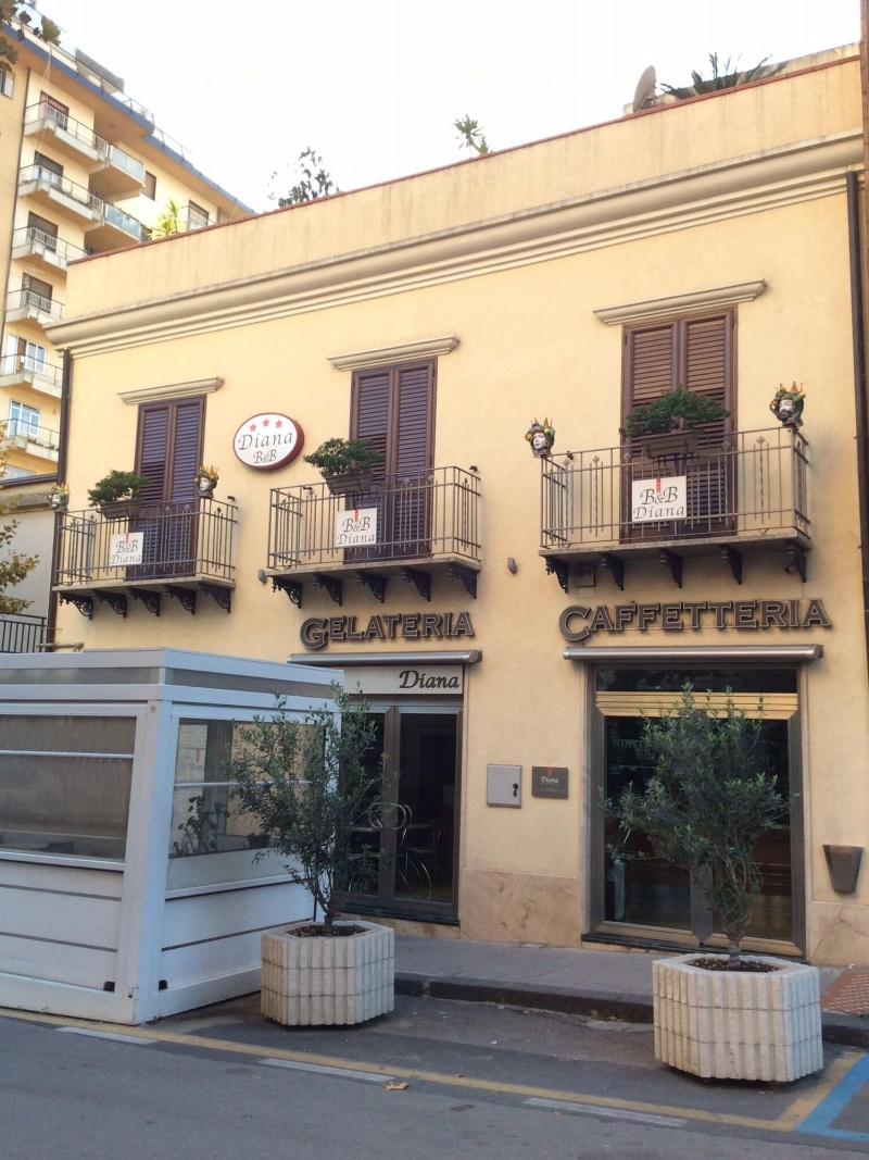 B&B Diana - Genel