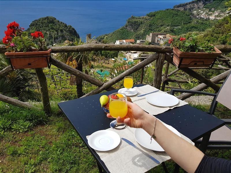 Casa Falcone B&B - Genel