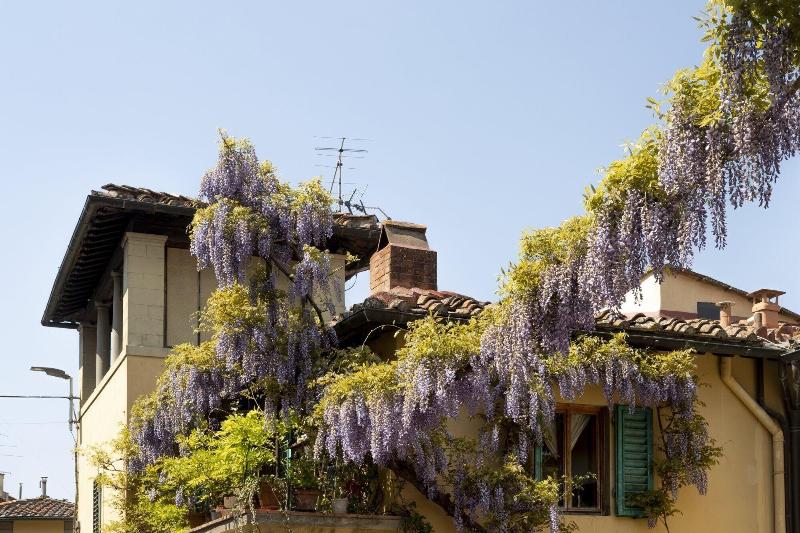 B&B Le Cannelle Fiesole - Genel