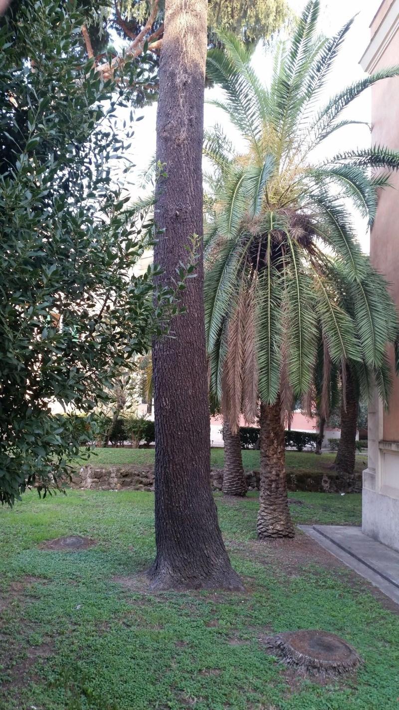 Vecchia Roma Resort - Genel
