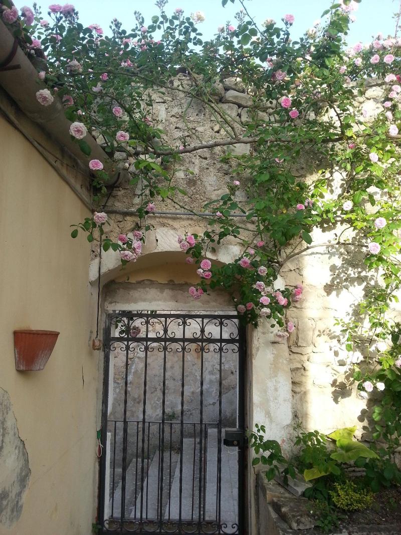 Giardino Sul Duomo - Genel