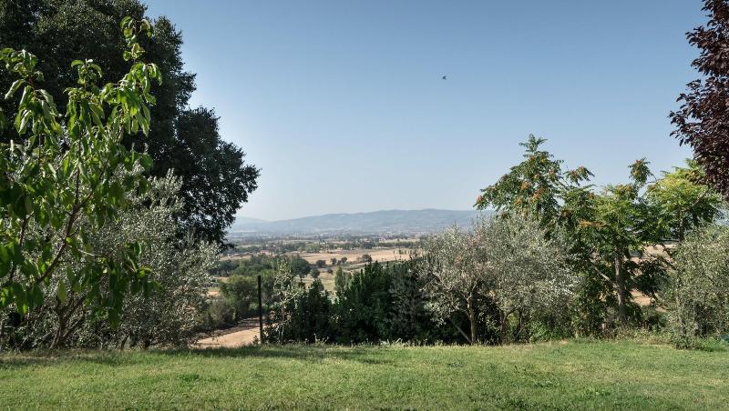 B&B Cantico delle Creature - Genel