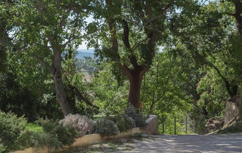 B&B Cantico delle Creature - Genel