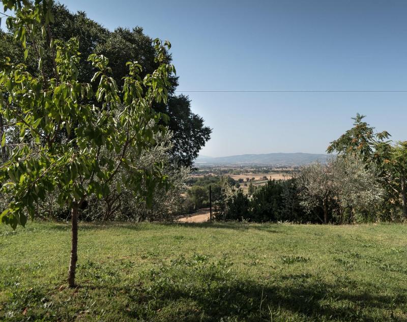 B&B Cantico delle Creature - Genel
