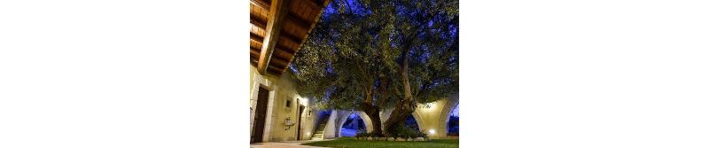 Villa Kete Deluxe Rooms - Aktivite