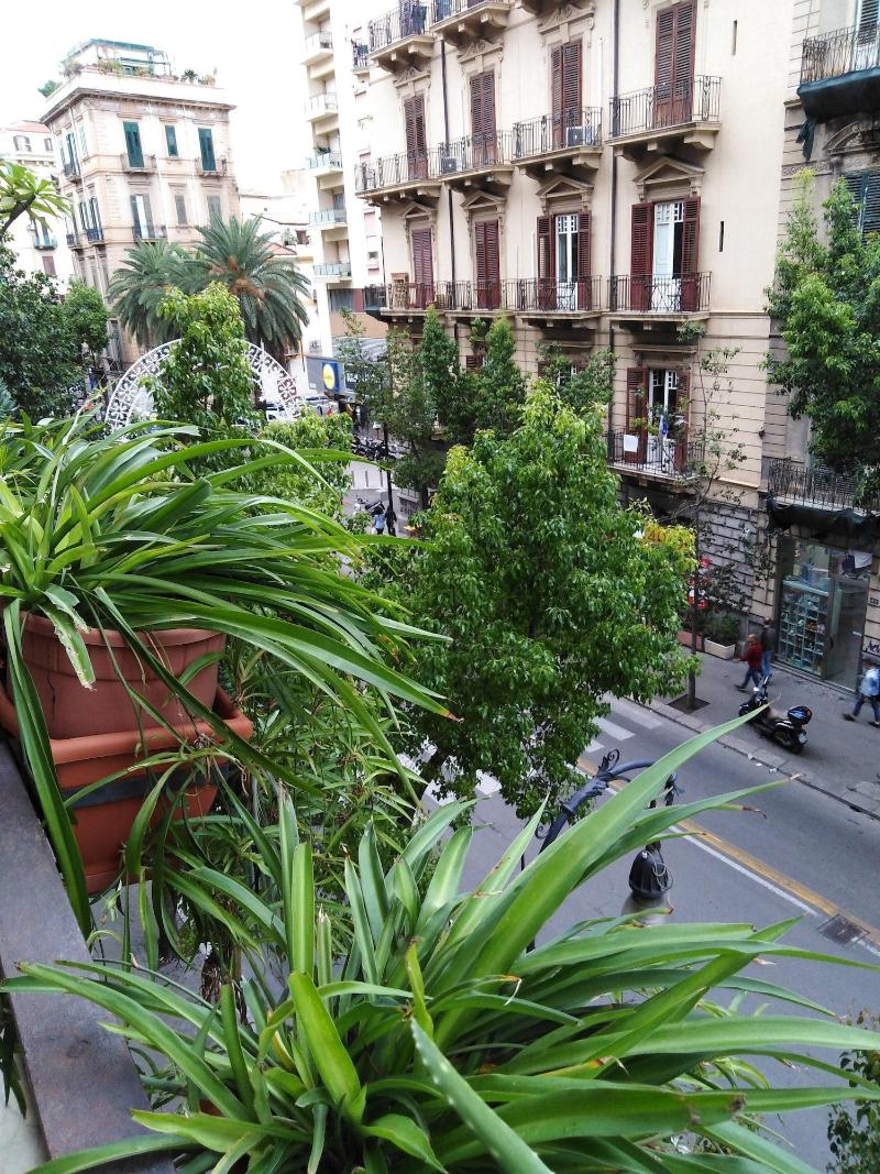 Medusa B&B - Genel