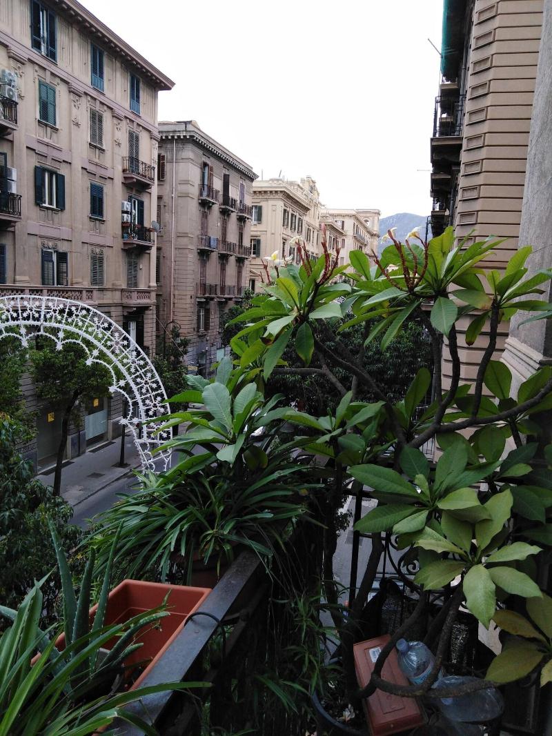 Medusa B&B - Genel