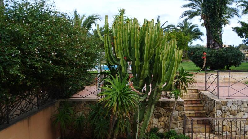 Villa Carlotta Resort - Genel