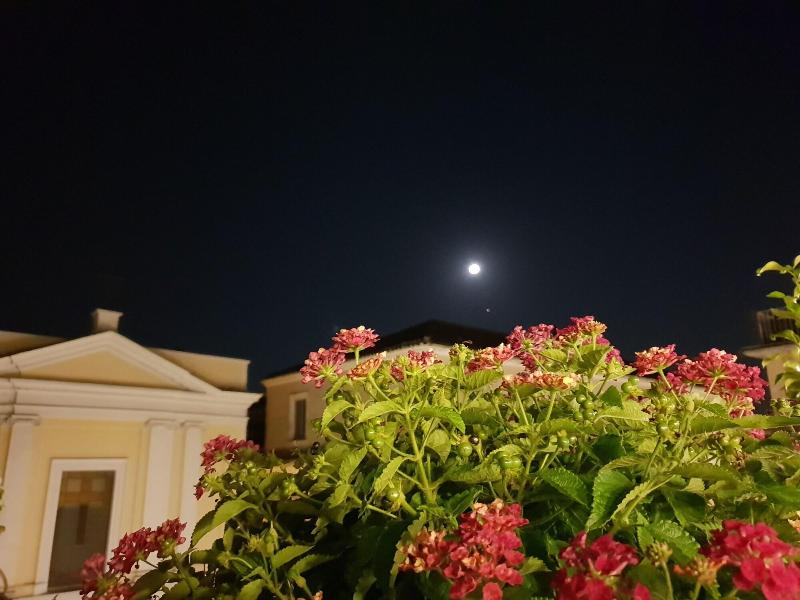 Al Centro Luxury Home - Genel