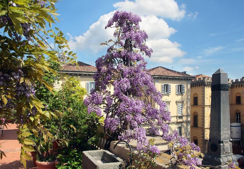 Galleria Arnaboldi - Teras