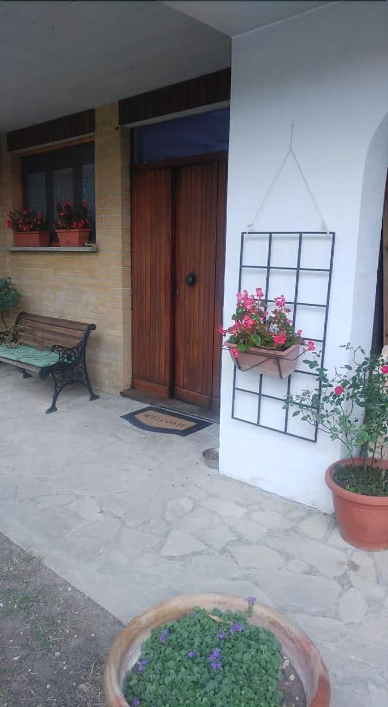 B&B Il Cedro - Genel