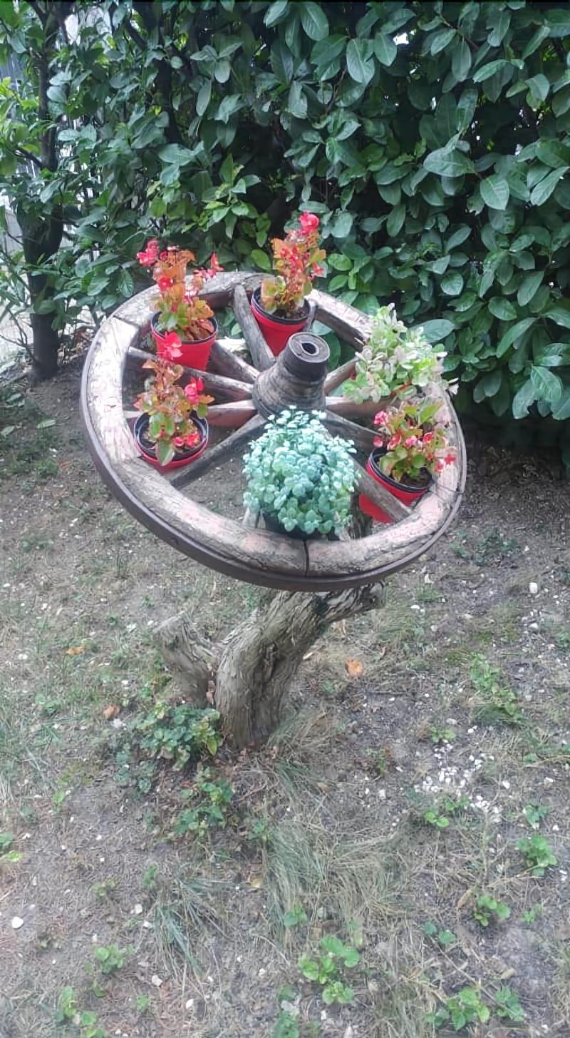 B&B Il Cedro - Genel