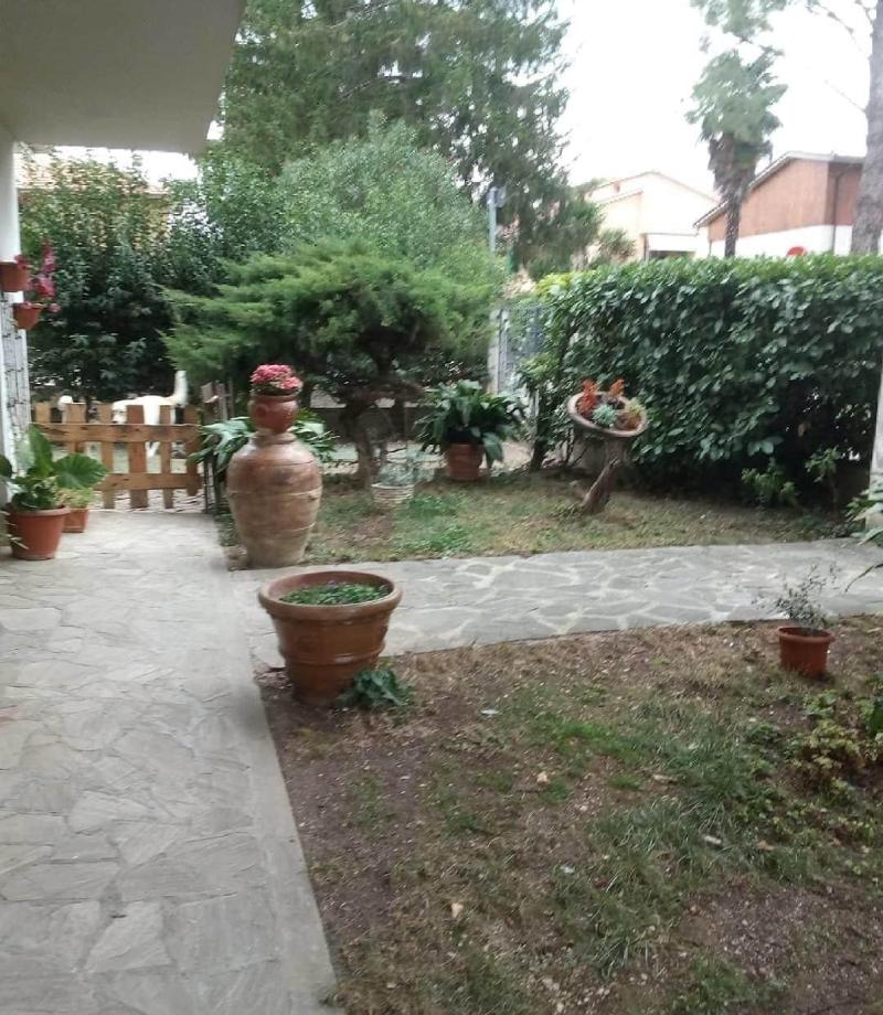 B&B Il Cedro - Genel