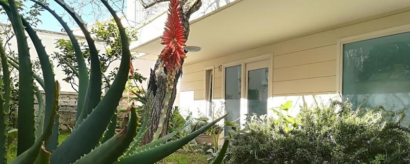 B&B Camere Borgo - Genel