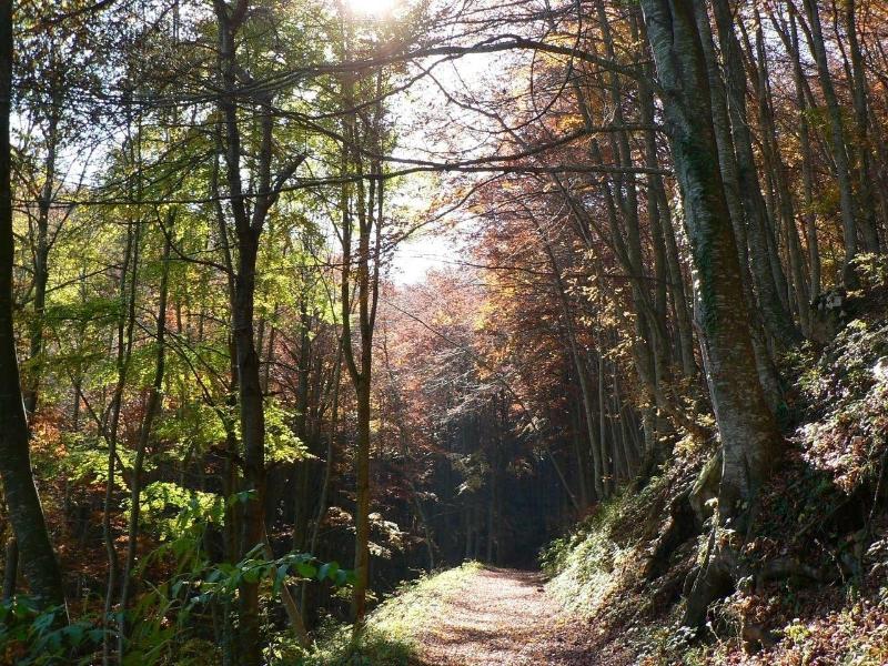 B&B Le Pietre Ricce - Aktivite