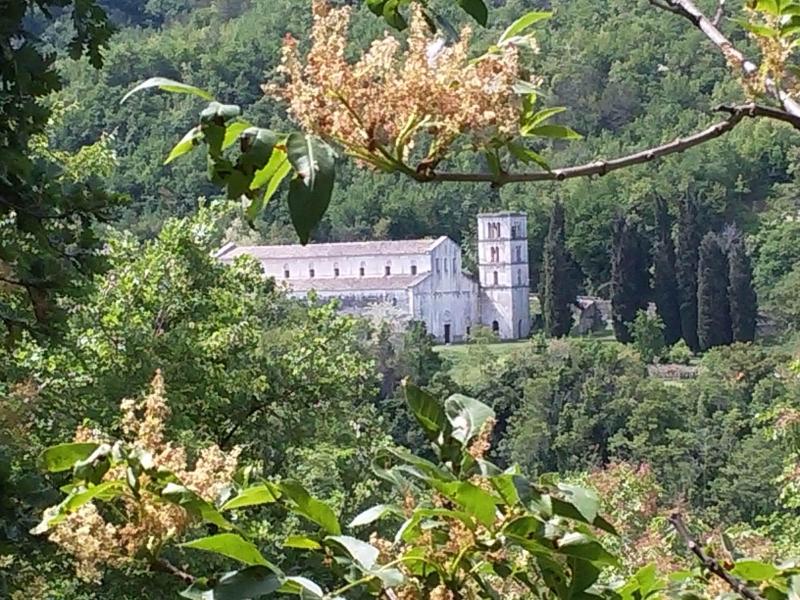 B&B Le Pietre Ricce - Aktivite
