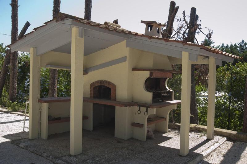 Domus In Viridi - Aktivite