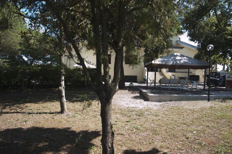 Domus In Viridi - Genel