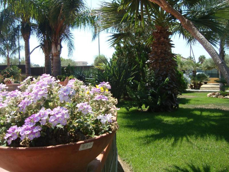 Villa Concordia - Genel