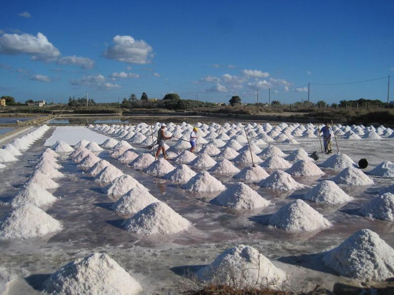 Casolare Nelle Saline - Aktivite