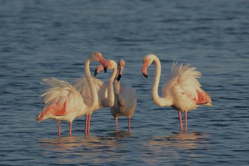 Casolare Nelle Saline - Genel